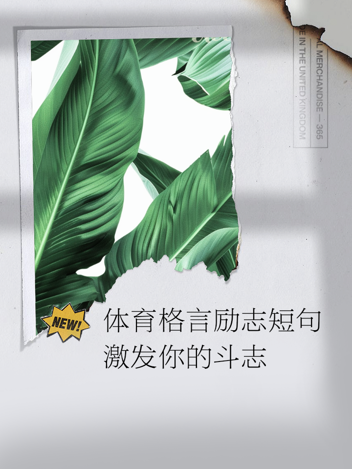 包含全球体育盛事激发青年运动员斗志的词条